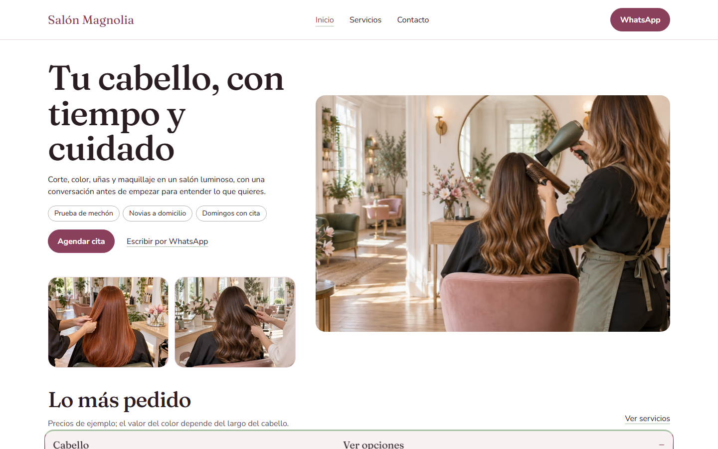 Primera pantalla del demo Salón Magnolia, plan Impulso